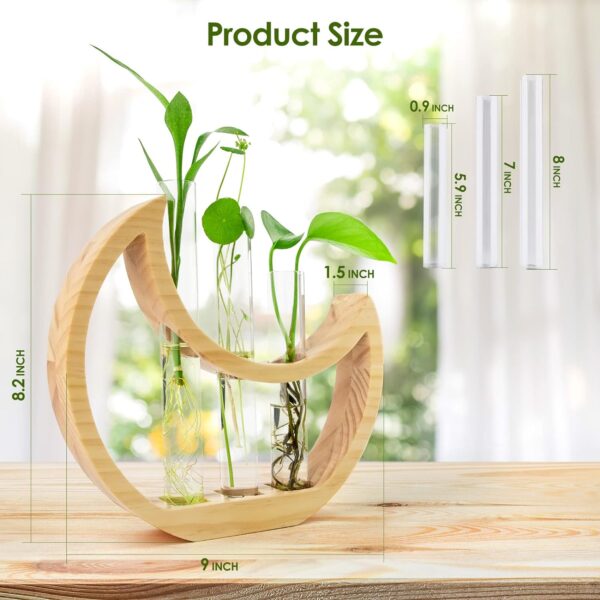 Plant Propagation Station - Wall Hanging Terrarium with Stand - Image 7
