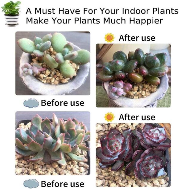 Best Grow Lights for Indoor Plants – Boost Plant Growth & Yield - Image 5