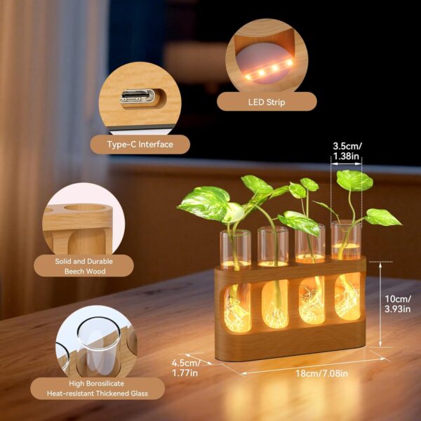 Plant Propagation Station - Wall Hanging Terrarium with Stand - Image 18