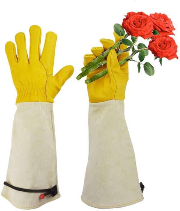 Premium Rose Pruning Gloves - Image 11