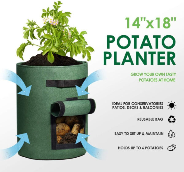 Potato Grow Bags Green - Image 9