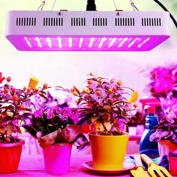 Full Spectrum Grow Light for Plants | Veg & Bloom Mode | Daisy Chain - Image 4