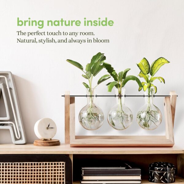 Plant Propagation Station - Wall Hanging Terrarium with Stand - Image 3