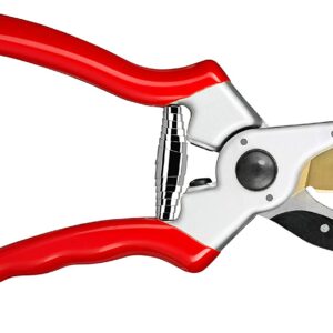 Titanium Pruning Shears