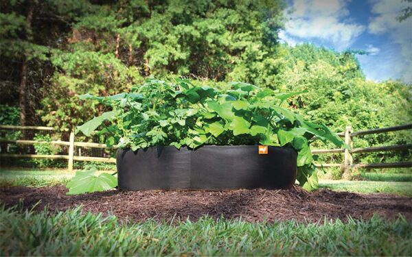 Thick Fabric Raised Garden Beds - Image 12