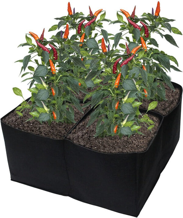 Premium Quality Raised Beds - Image 22