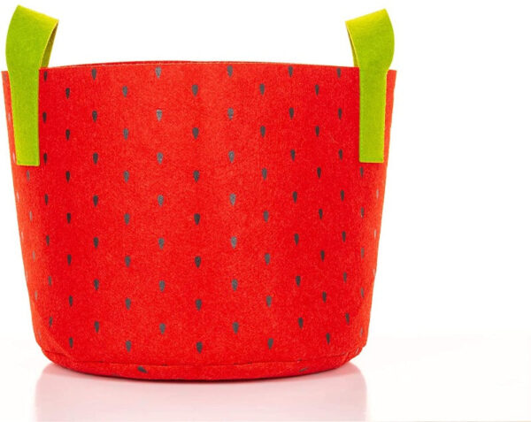 Colorful Fabric Grow Bags - Image 8