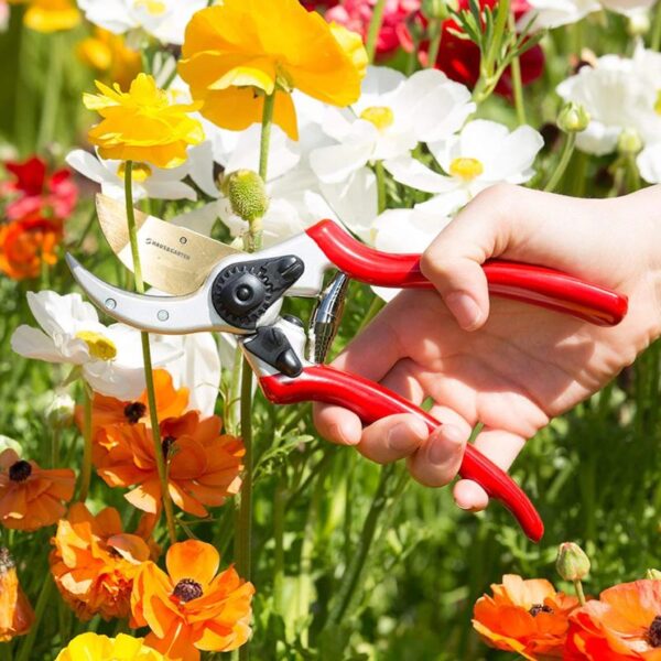 Titanium Pruning Shears - Image 3