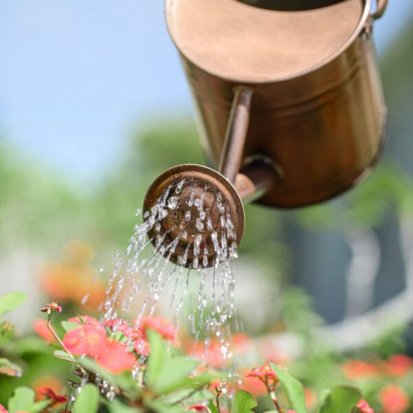 Galvanized Steel Watering Can - Image 4