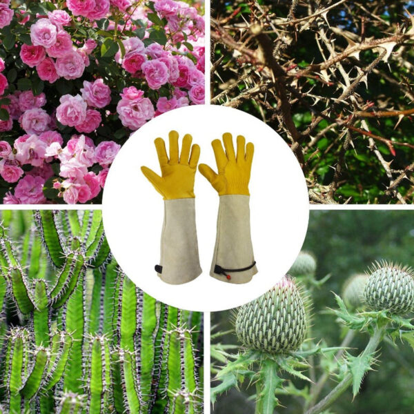 Premium Rose Pruning Gloves - Image 9