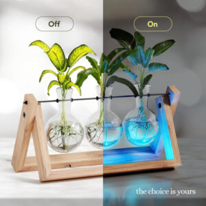 Alternative view of Plant Propagation Station - Wall Hanging Terrarium with Stand