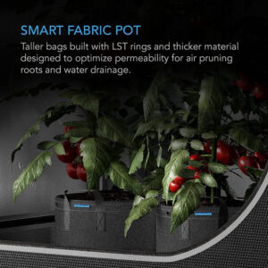 Alternative view of AC Infinity Heavy Duty Fabric Pots