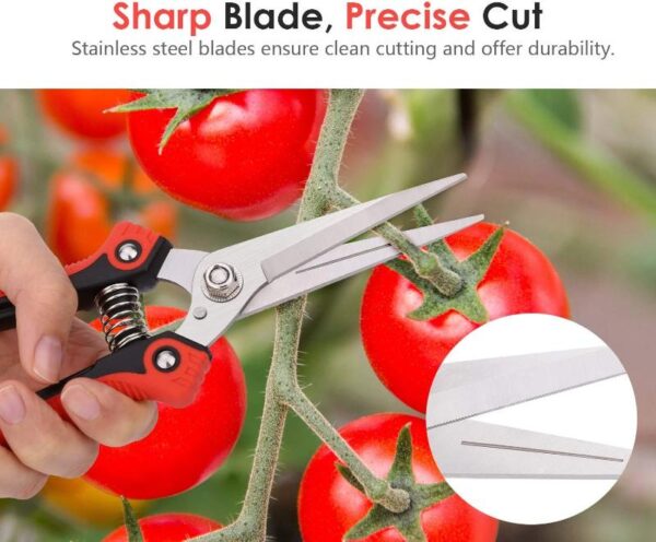 Stainless Steel Pruning Shears - Image 3