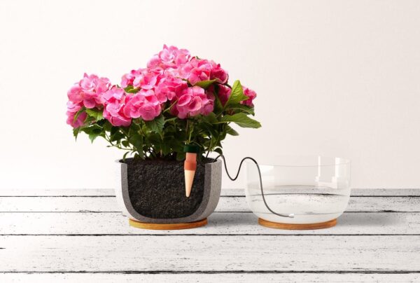 Automatic Plant Watering Stakes - Image 7
