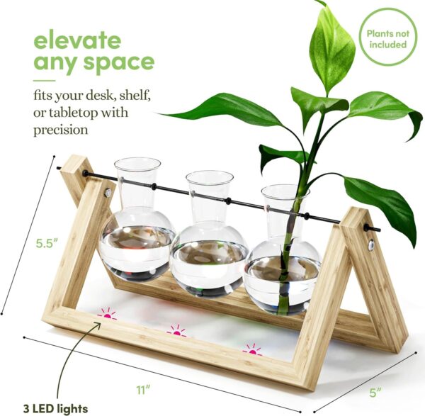 Plant Propagation Station - Wall Hanging Terrarium with Stand - Image 4