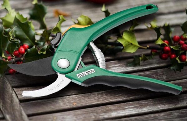 Heavy Duty Pruning Shears - Image 7