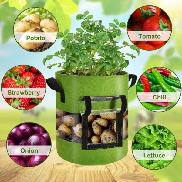 Potato Grow Bags with 360-Degree Visibility Window - Heavy Duty Fabric Pots - Image 4