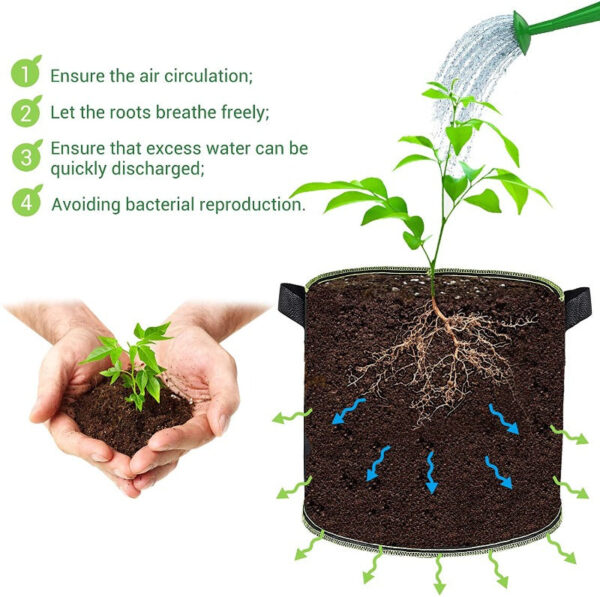 Premium Fabric Grow Pots 10-PACK - Image 4