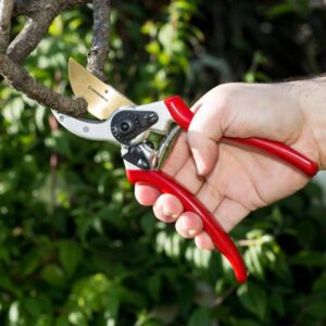 Alternative view of Titanium Pruning Shears
