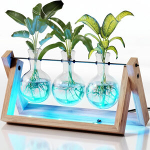 Plant Propagation Station - Wall Hanging Terrarium with Stand