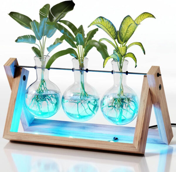 Plant Propagation Station - Wall Hanging Terrarium with Stand