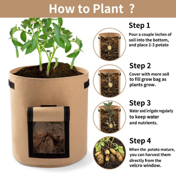 Vegetable Grow Bags Beige - Image 7