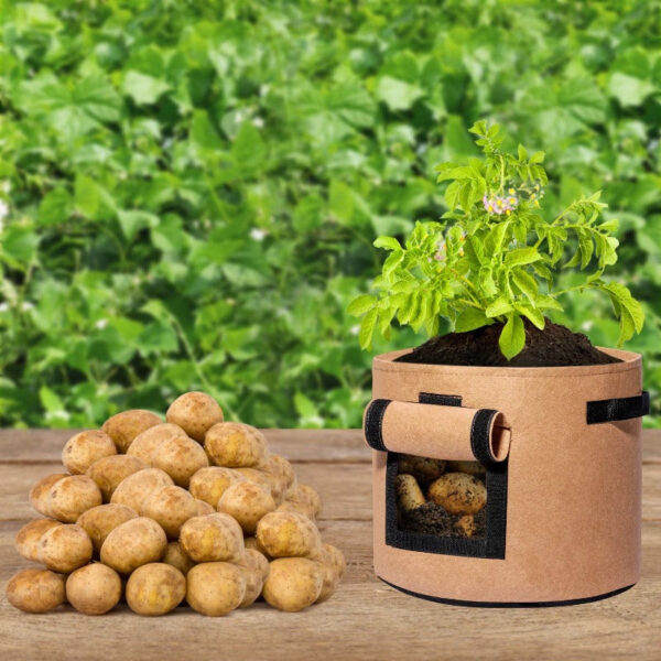 Fabric Potato Grow Bags - Image 6