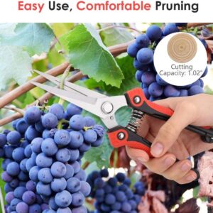 Alternative view of Stainless Steel Pruning Shears
