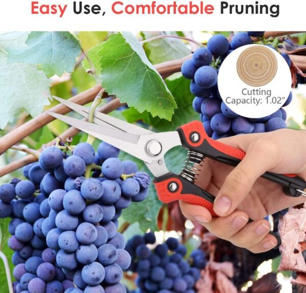 Stainless Steel Pruning Shears - Image 2