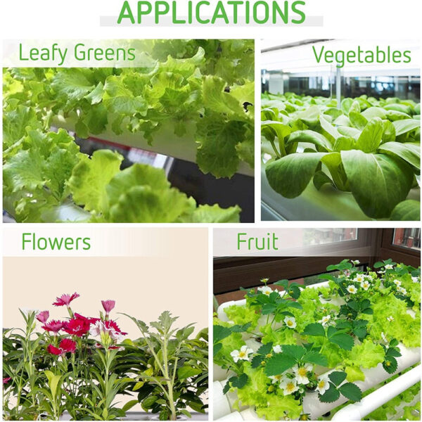 Hydroponics Growing System - High Yield Indoor Gardening Kit with Timer & Pump - Image 10
