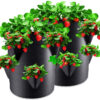 Strawberry Grow Bags