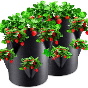 Strawberry Grow Bags