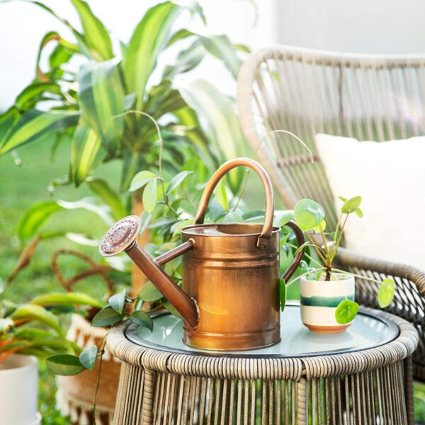 Galvanized Steel Watering Can - Image 7