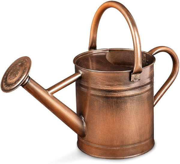 Galvanized Steel Watering Can - Image 8