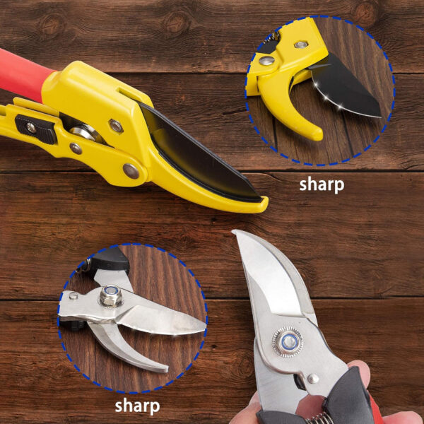 Professional Bypass Pruning Shears – Stainless Steel, Sharp & Ergonomic - Image 4