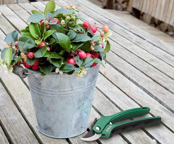 Heavy Duty Pruning Shears - Image 8