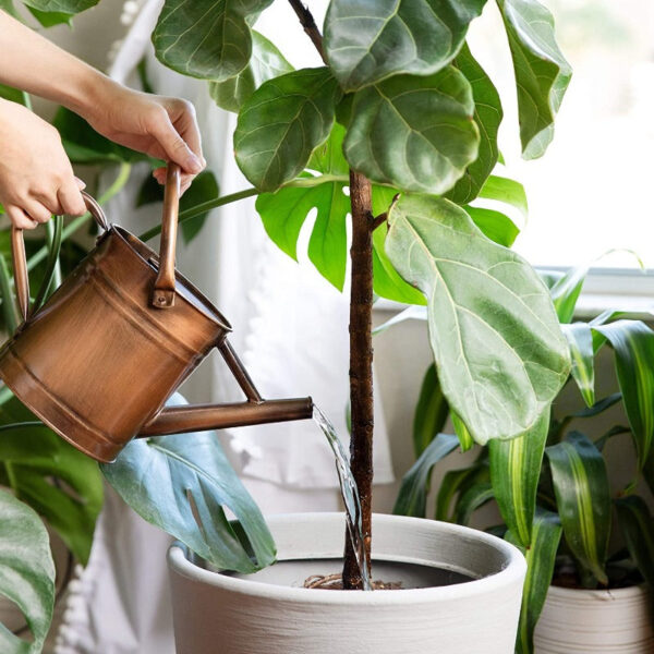 Galvanized Steel Watering Can - Image 5