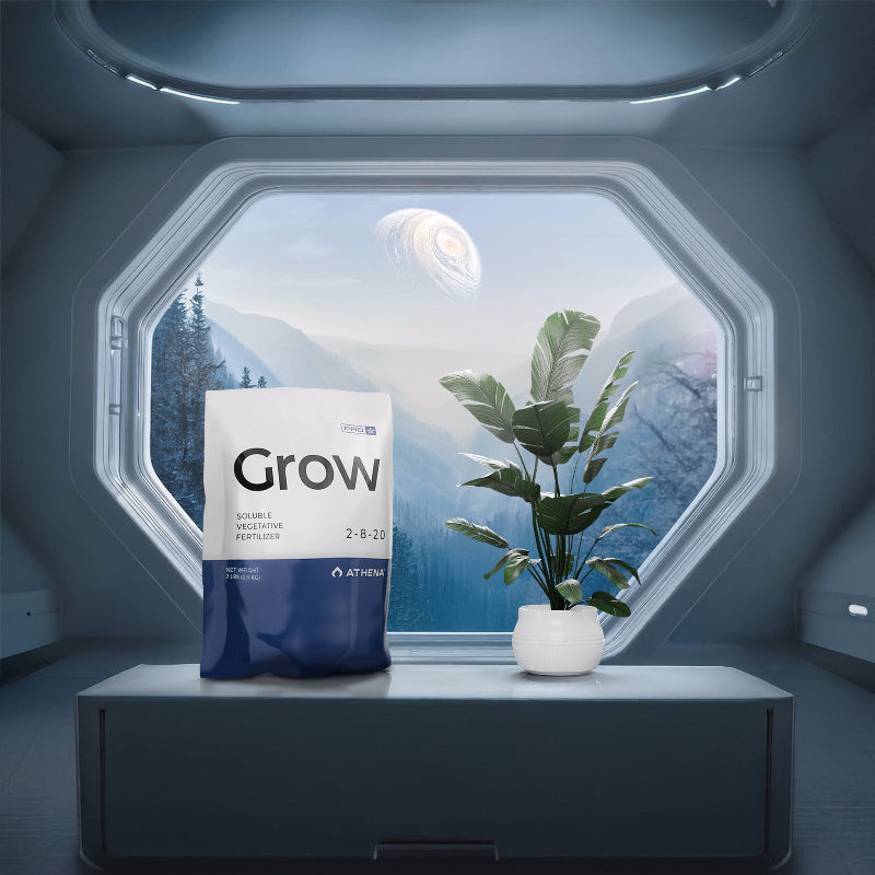 Hydroponics Fertilizer Concentrate Solution