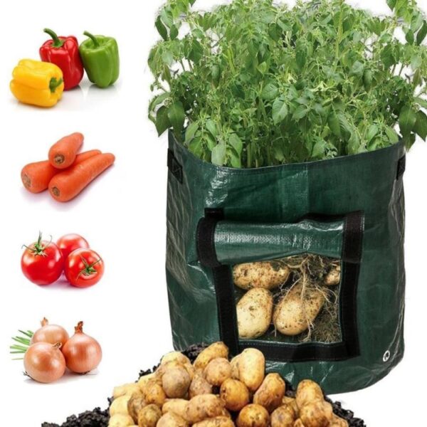 Vegetable Grow Bags - Image 8