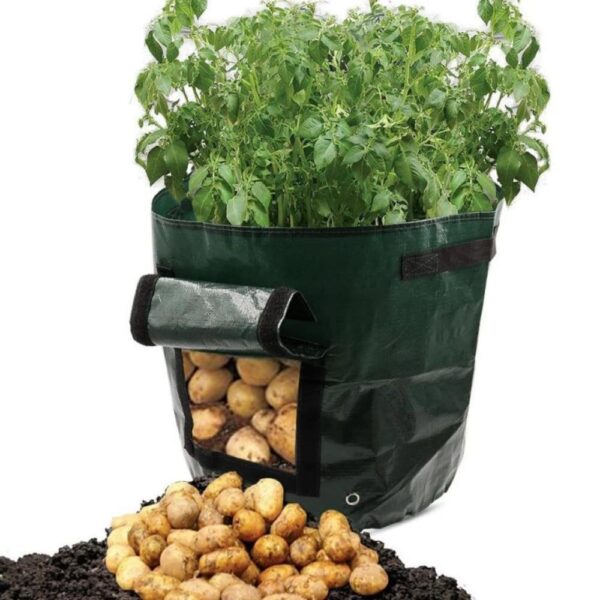 Vegetable Grow Bags - Image 9