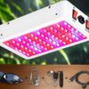 Full Spectrum Grow Light for Plants | Veg & Bloom Mode | Daisy Chain