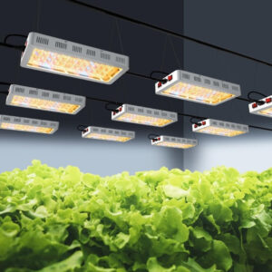 Alternative view of Full Spectrum Grow Light for Plants | Veg & Bloom Mode | Daisy Chain