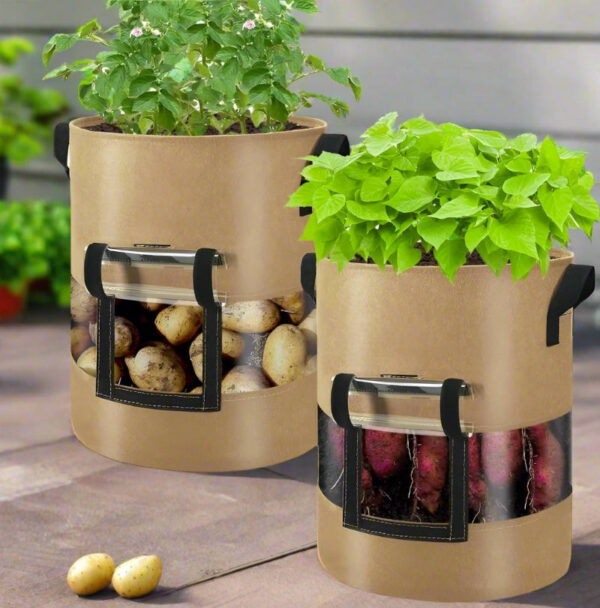 Potato Grow Bags with 360-Degree Visibility Window - Heavy Duty Fabric Pots - Image 12