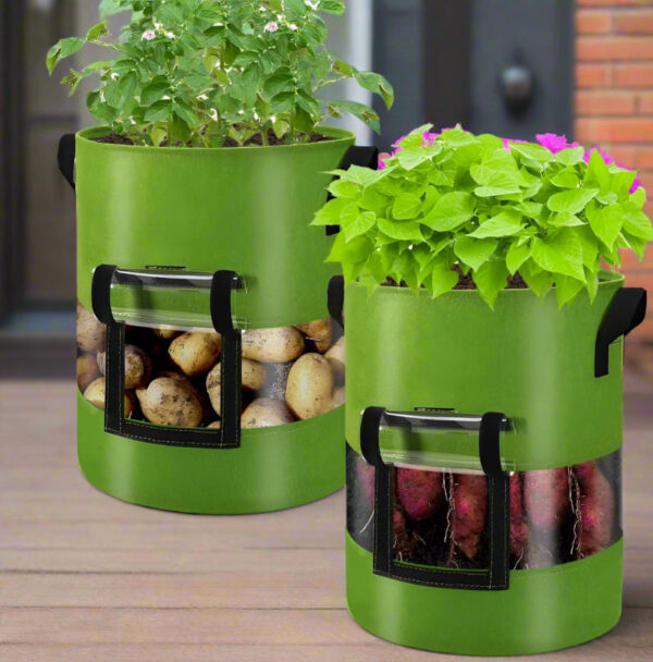 Potato Grow Bags with 360-Degree Visibility Window - Heavy Duty Fabric Pots - Image 9