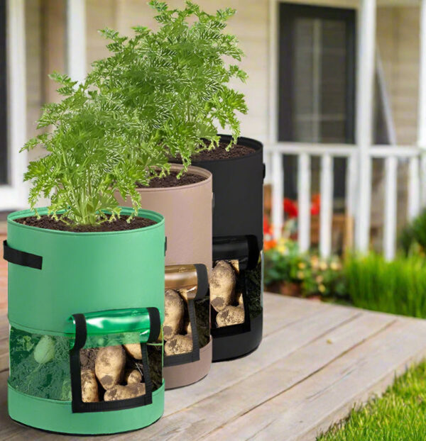 Potato Grow Bags with 360-Degree Visibility Window - Heavy Duty Fabric Pots - Image 13