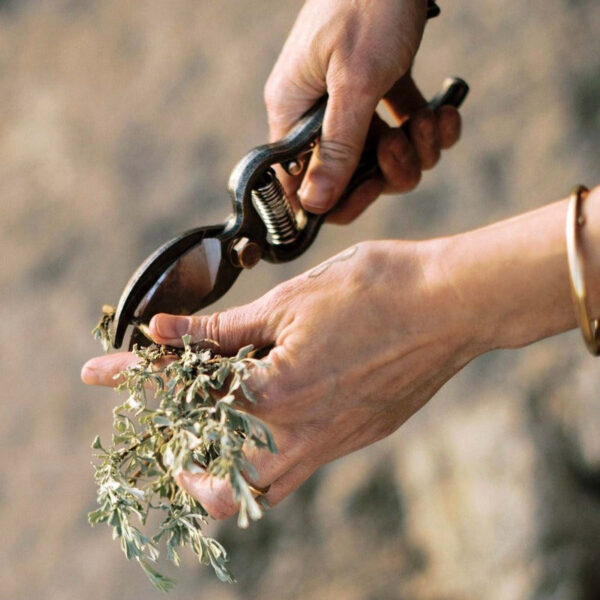 Barebones Premium Pruning Shears - Image 5