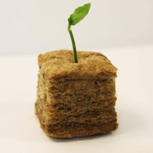 Alternative view of Hydroponics Rockwool Plant Starter Cubes