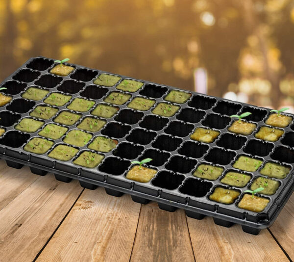 Hydroponics Rockwool Plant Starter Cubes - Image 8