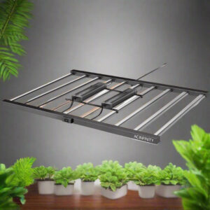 AC Infinity IONFRAME EVO10 Samsung Grow Light 1000W, 6x6 Feet
