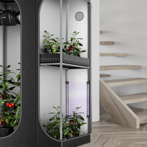 Alternative view of AC INFINITY IONBEAM U2 – UV LED Grow Light Bars Kit for Fruit & Flower Stages